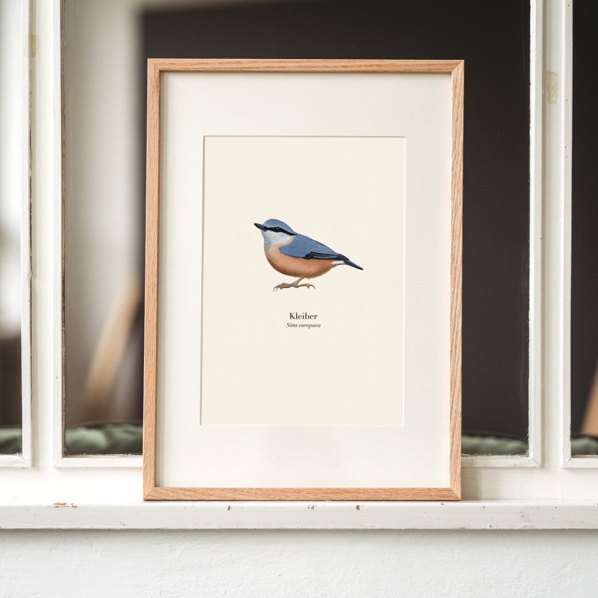 Kleiber Poster A4 Vogel Illustration von Terillu