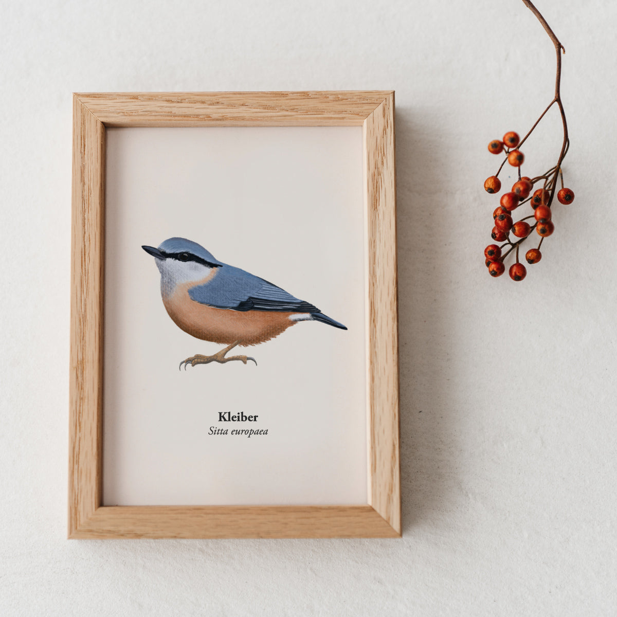 Gerahmte Kleiber Postkarte mit Vogelmotiv