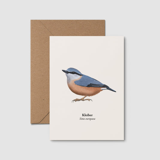 Kleiber Postkarte mit Vogelillustration und lateinischem Namen Sitta europaea