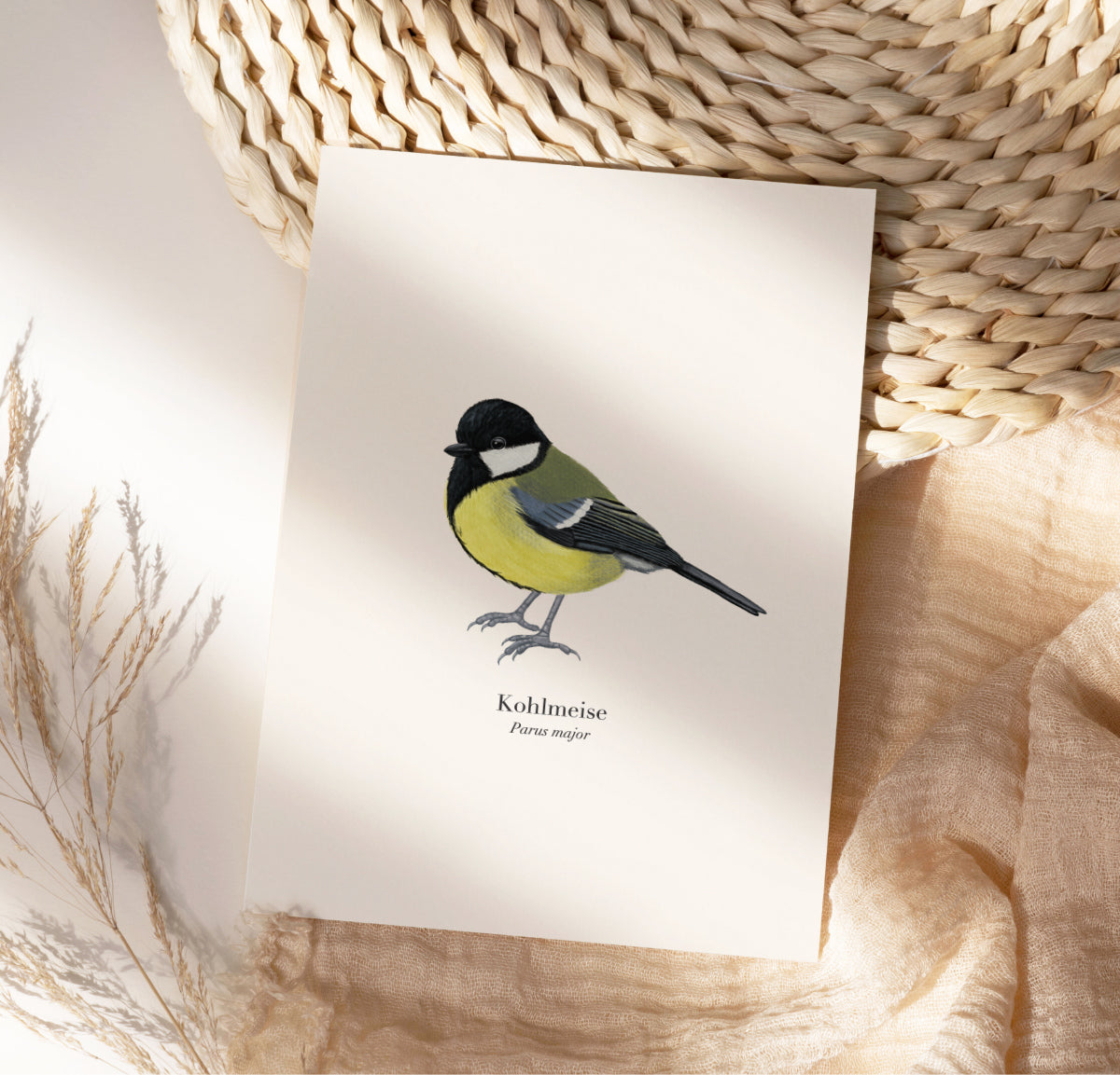 Kohlmeise Poster – Heimische Vögel Kunstdruck | Vogel Poster A4 optional gerahmt