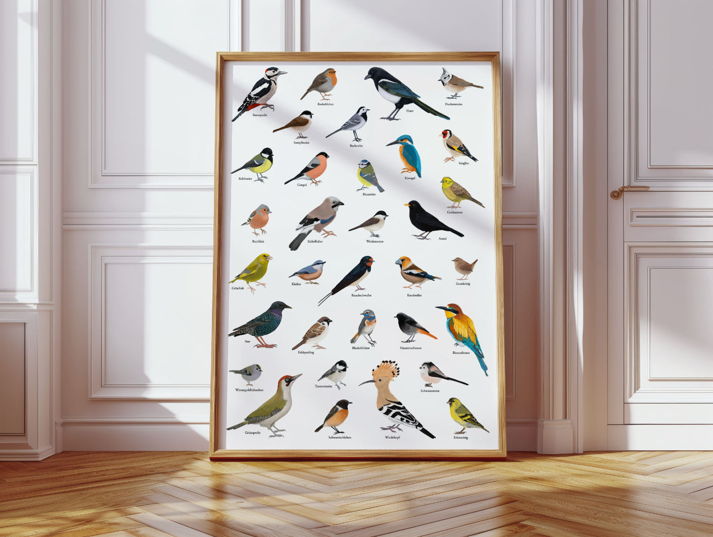 A1 Poster Heimische Vögel – Zeichnungen von 33 Arten mit Namen