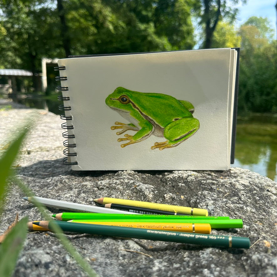 Handillustrierter Laubfrosch als Vorlage für die Frosch Tasche