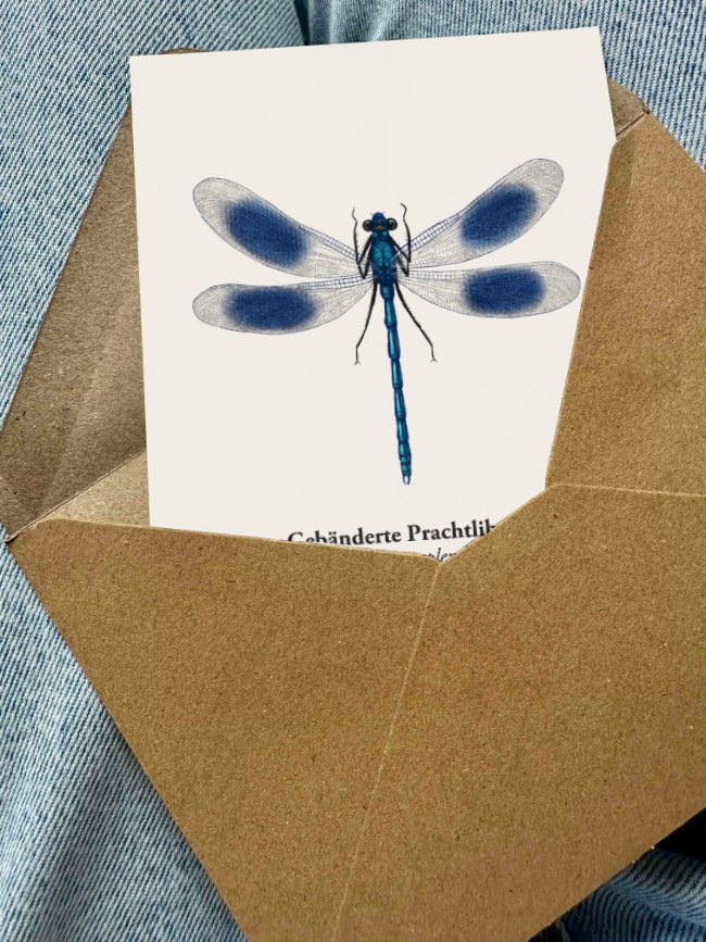 Postkarte Gebänderte Prachtlibelle auf hochwertigem Naturpapier
