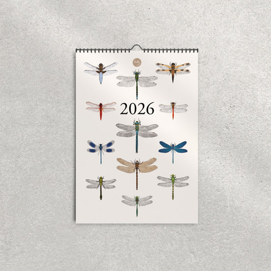 Libellenkalender 2026 – Cover mit 12 heimischen Libellenarten Illustration
