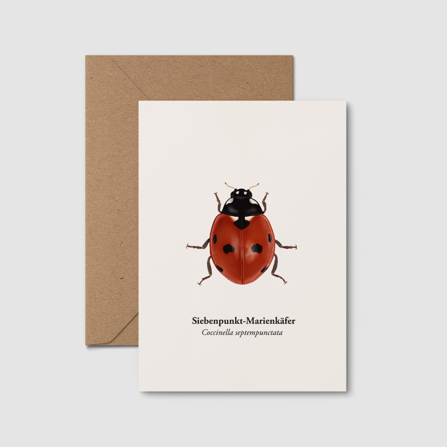 Marienkäfer Postkarte A6 – Siebenpunkt-Marienkäfer Illustration mit Kraftpapier-Umschlag