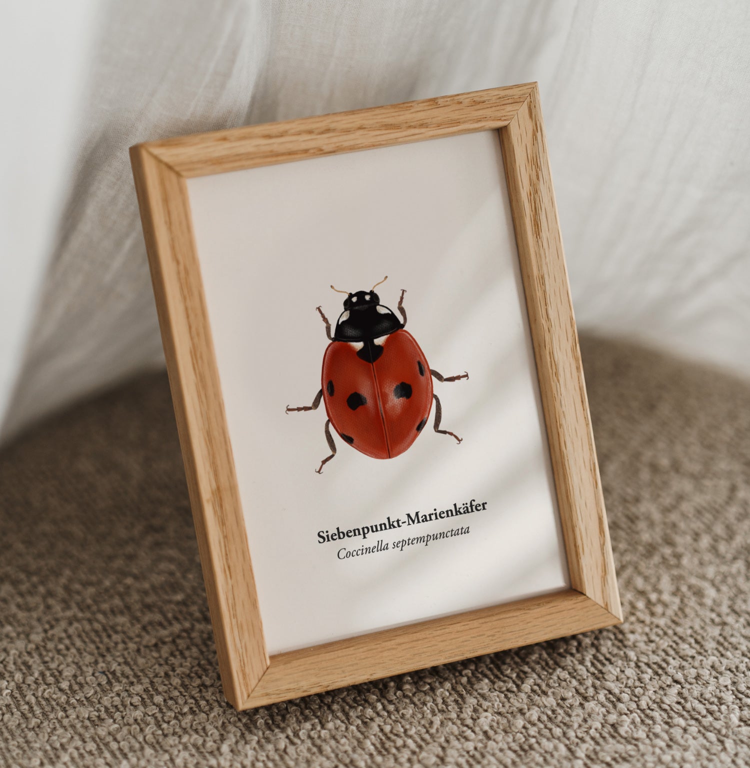 Gerahmter A6 Mini-Kunstdruck: Marienkäfer Illustration
