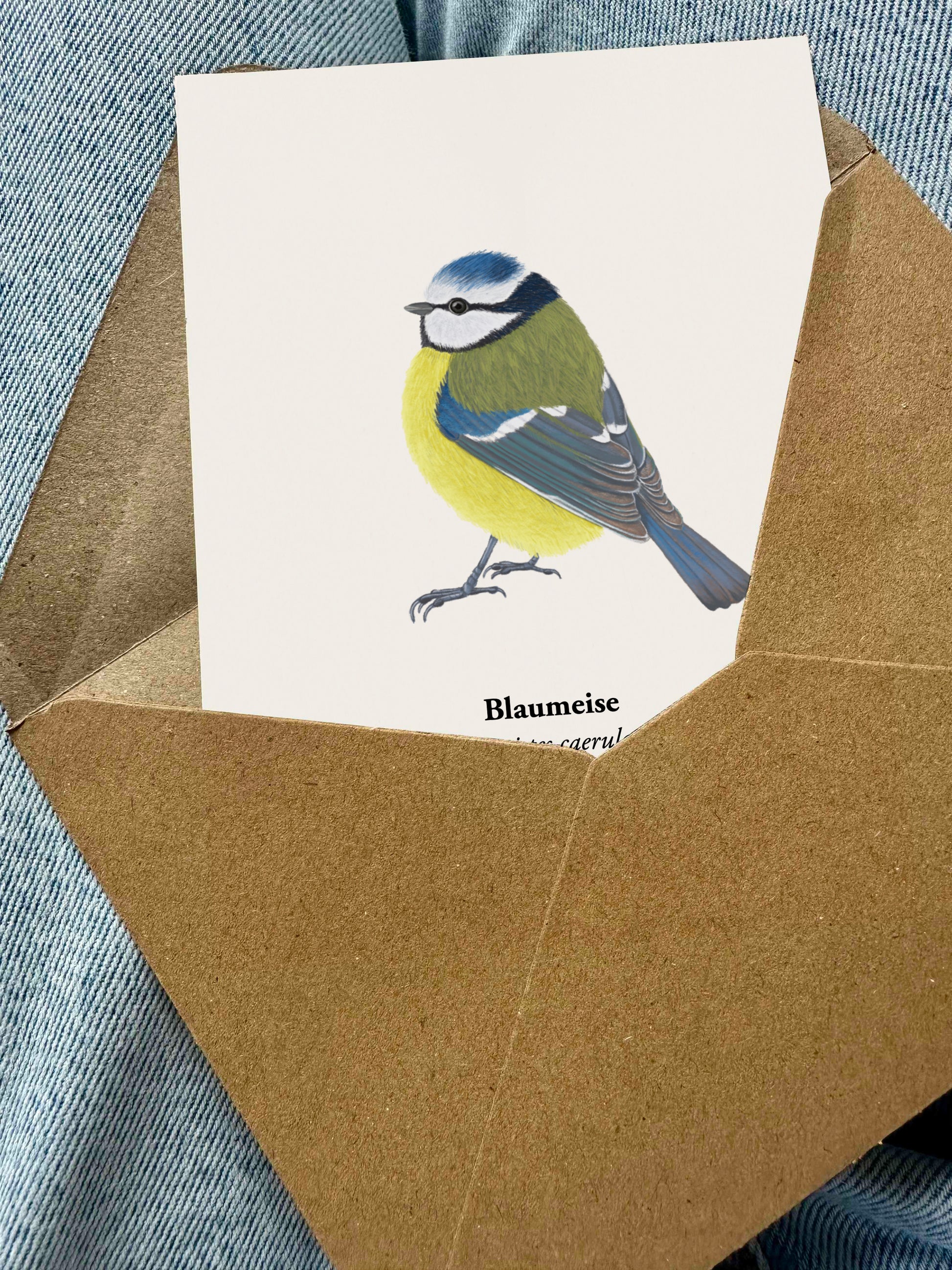 Vogel Zeichnung Postkarte