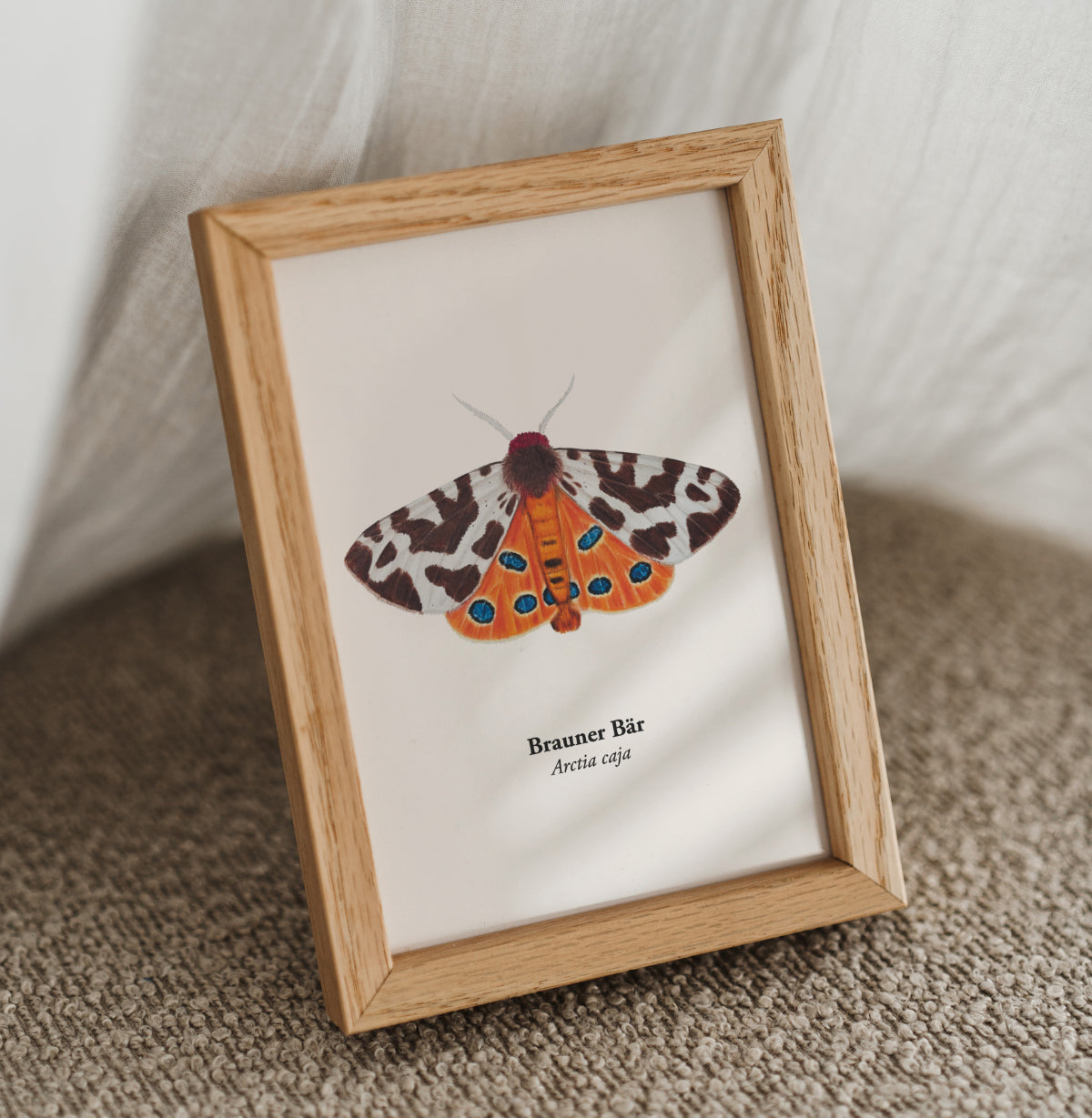 Nachtfalter Illustration Brauner Bär als Miniprint auf mattem Papier. Gerahmter Mini Print