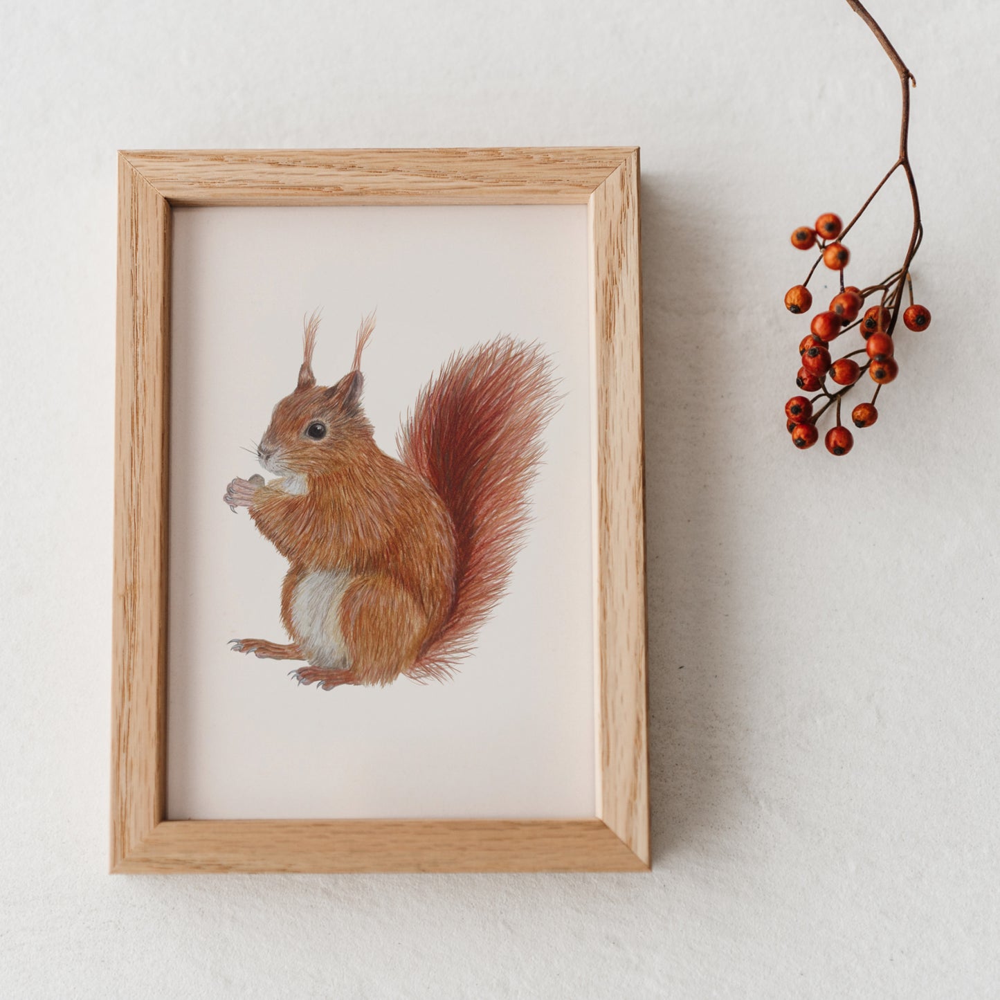 Gerahmter Mini-Print mit Eichhörnchen Illustration – Naturmotiv als kleine Wanddeko
