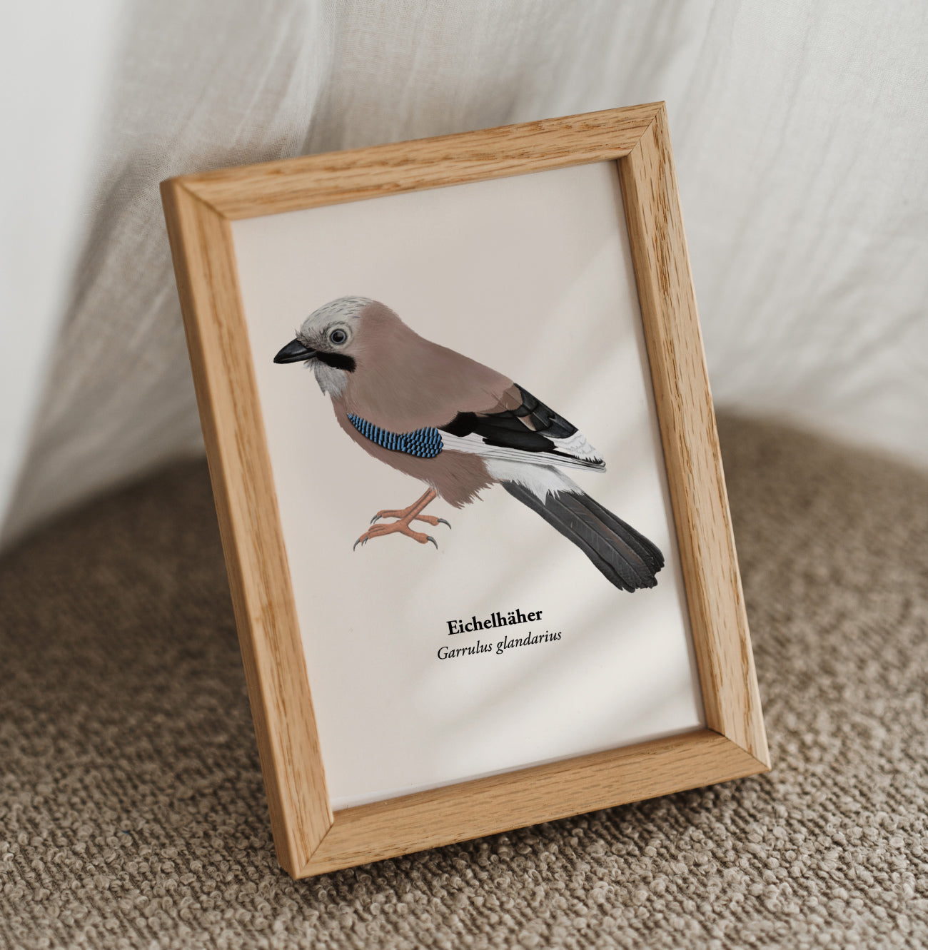Gerahmte Eichelhäher Kunstpostkarte im Holzrahmen, Vogel Illustration Garrulus glandarius als Mini Kunstdruck