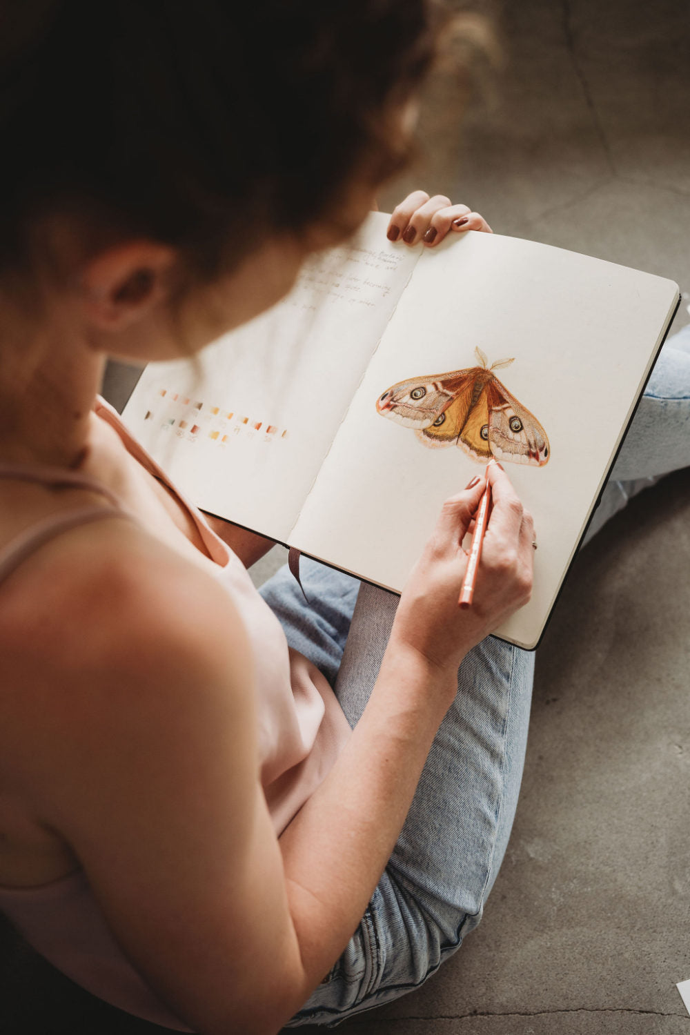 Heimische Insekten – Natur Poster mit 12 handillustrierten Insektenarten| optional gerahmt