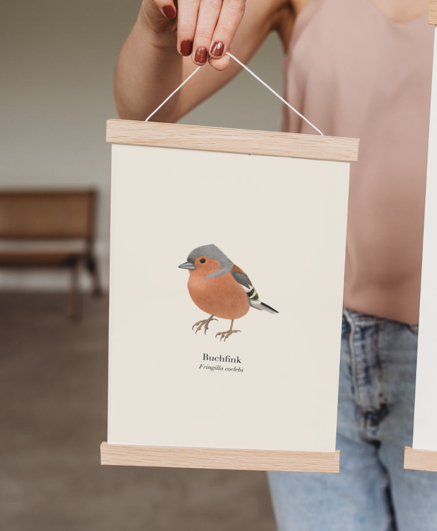 Buchfink Poster mit magnetischer Posterleiste aus Eichenholz

