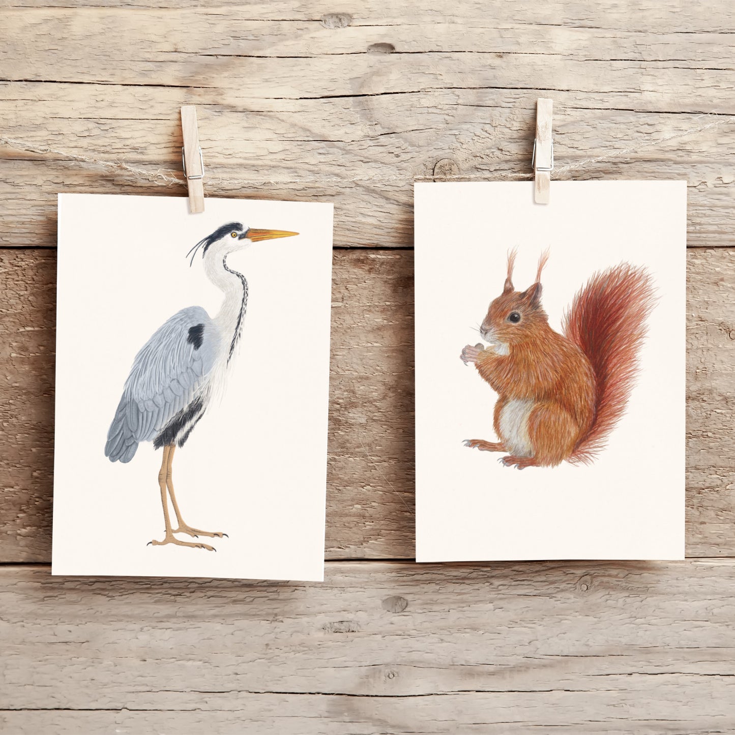 Graureiher Postkarte – Vogel Illustration | Kunstpostkarte A6