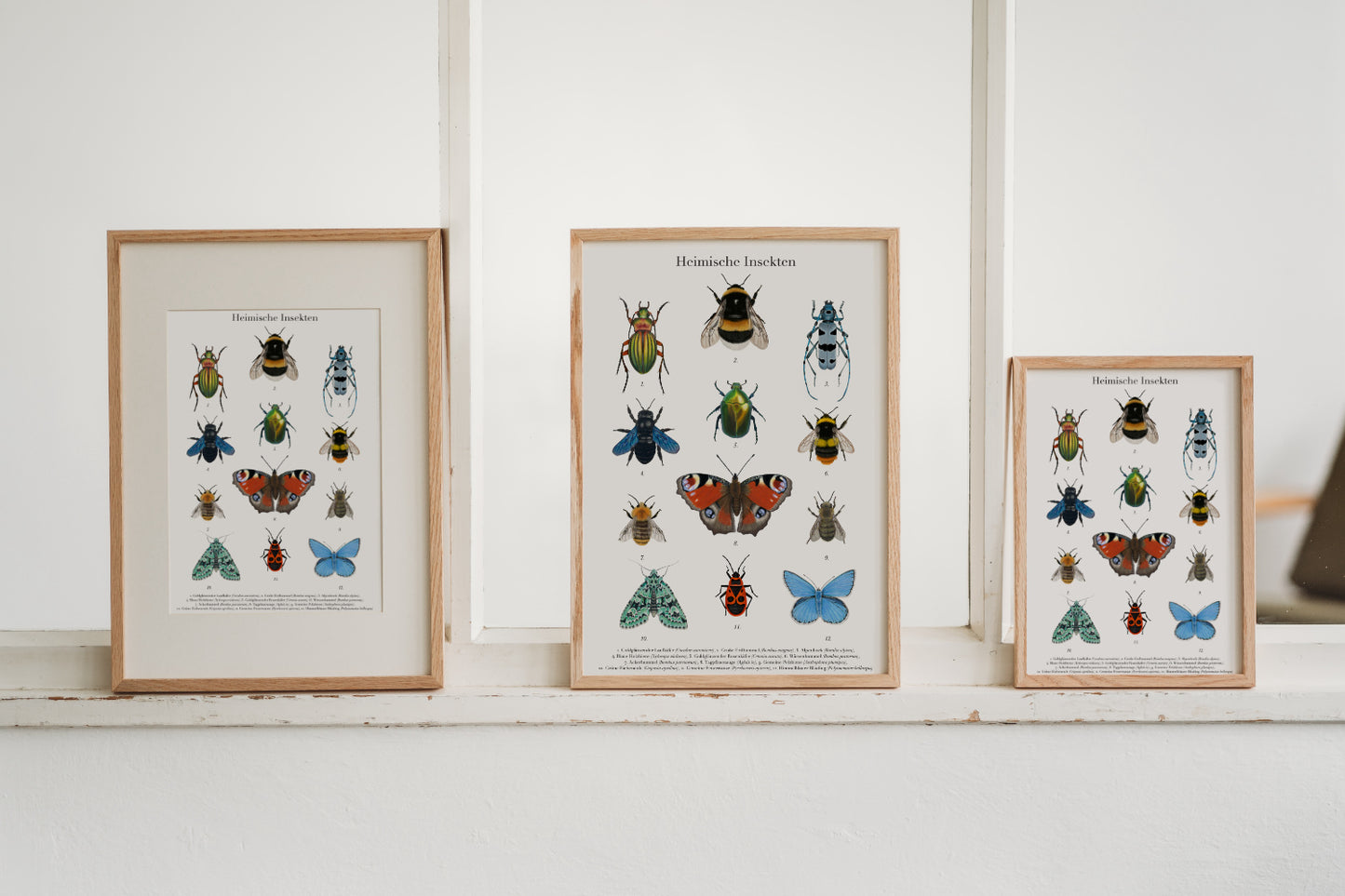 Handillustriertes Insekten Poster in den Größen A4 und A3