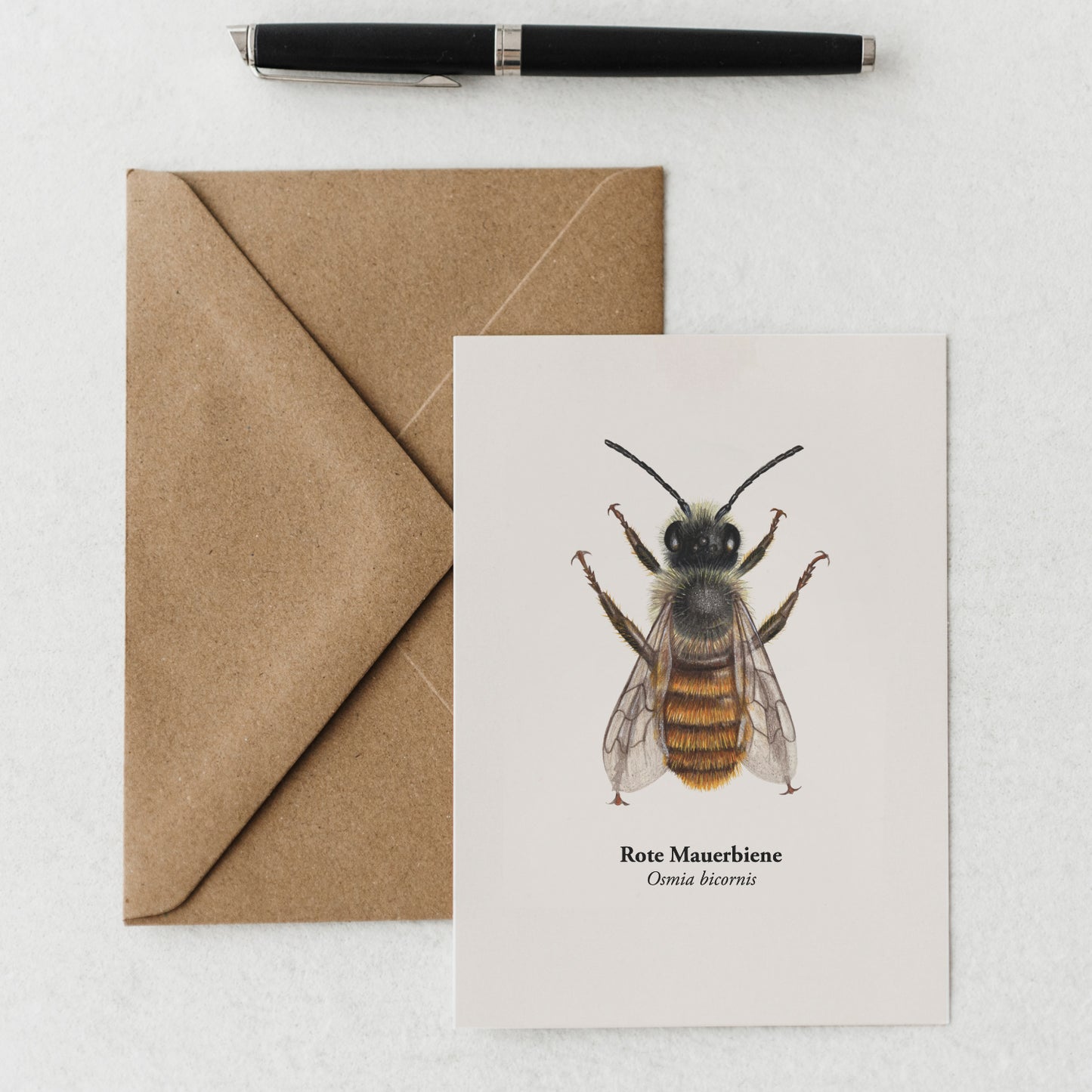 Postkarte Rote Mauerbiene (Osmia bicornis) zusammen mit Umschlag und Füller