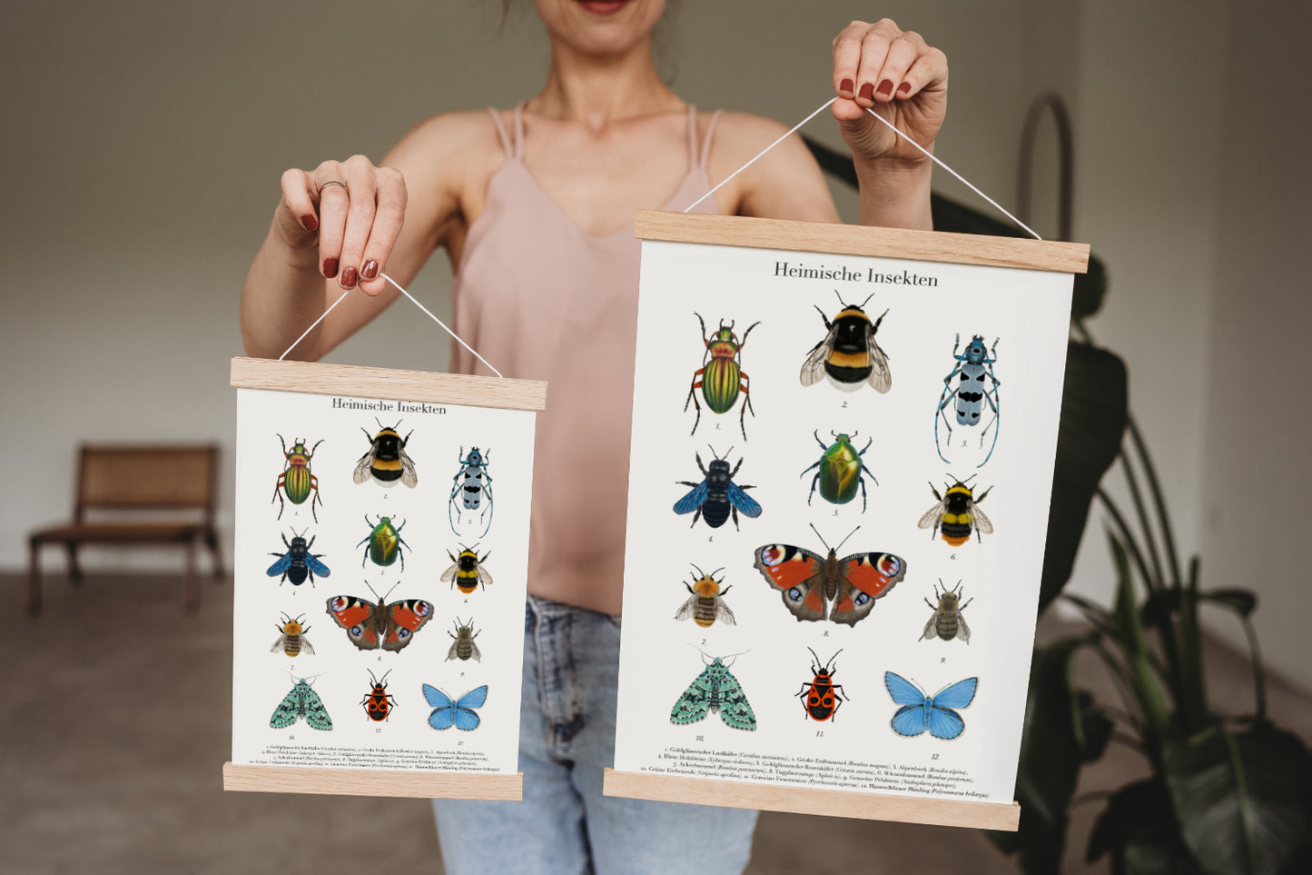 Natur Poster mit zwölf heimischen Insektenarten und deutscher sowie lateinischer Beschriftung in posterleiste