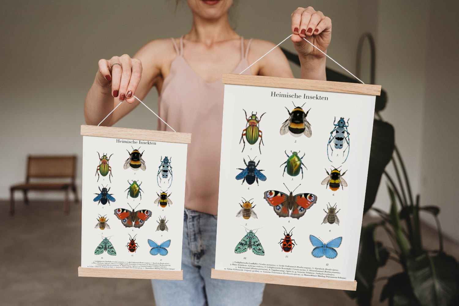 Natur Poster mit zwölf heimischen Insektenarten und deutscher sowie lateinischer Beschriftung in posterleiste