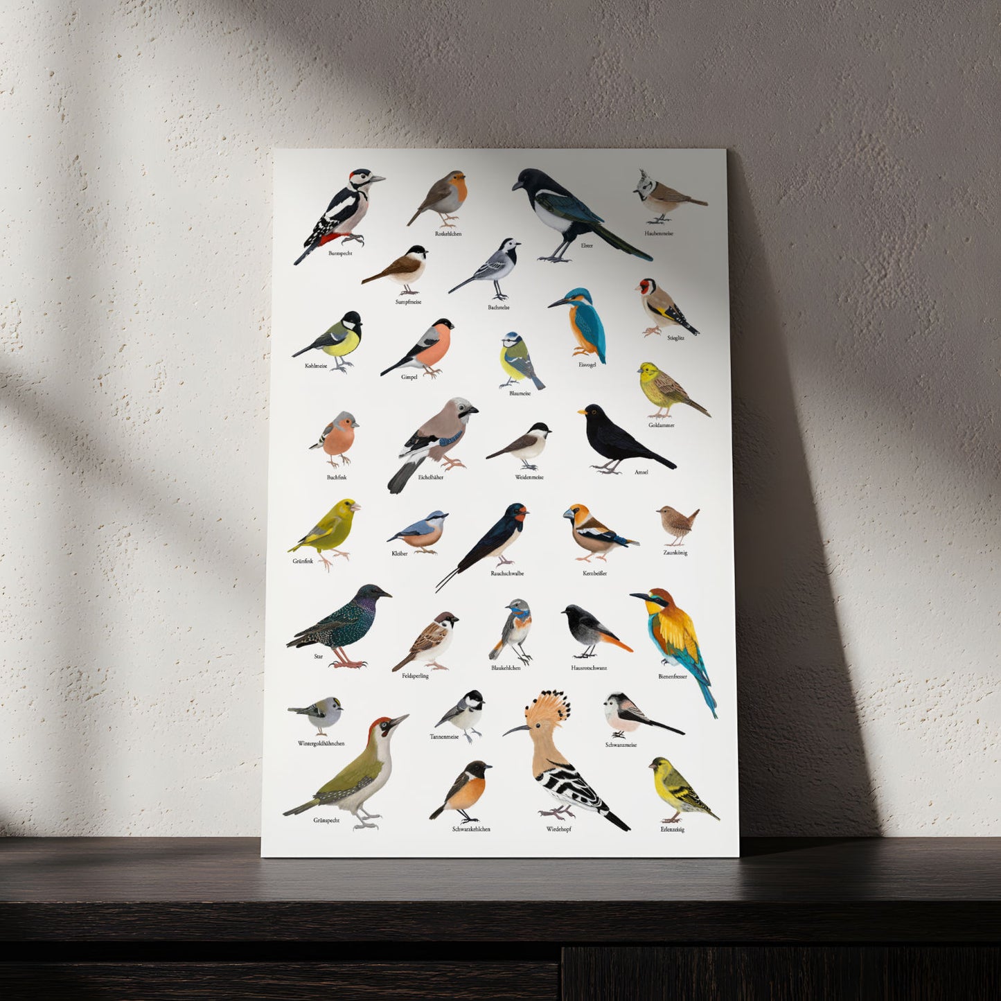 A1 Poster Heimische Vögel – Zeichnungen von 33 Arten mit Namen