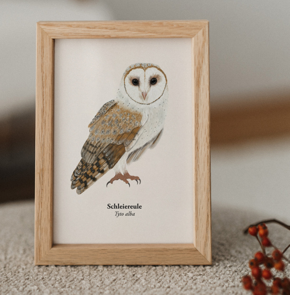 Schleiereule Postkarte als Miniprint – Eule Zeichnung als Geschenk für Naturliebhaber