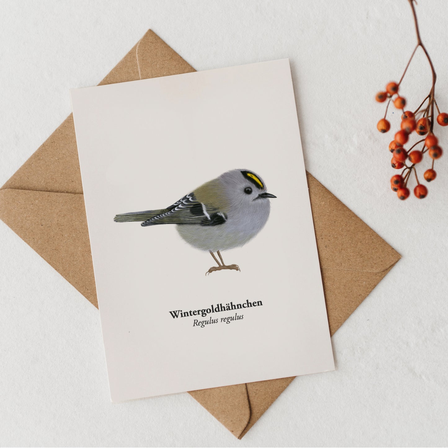Goldhähnchen Postkarte mit Kraftpapierumschlag, Naturpostkarte Vogel Illustration DIN A6