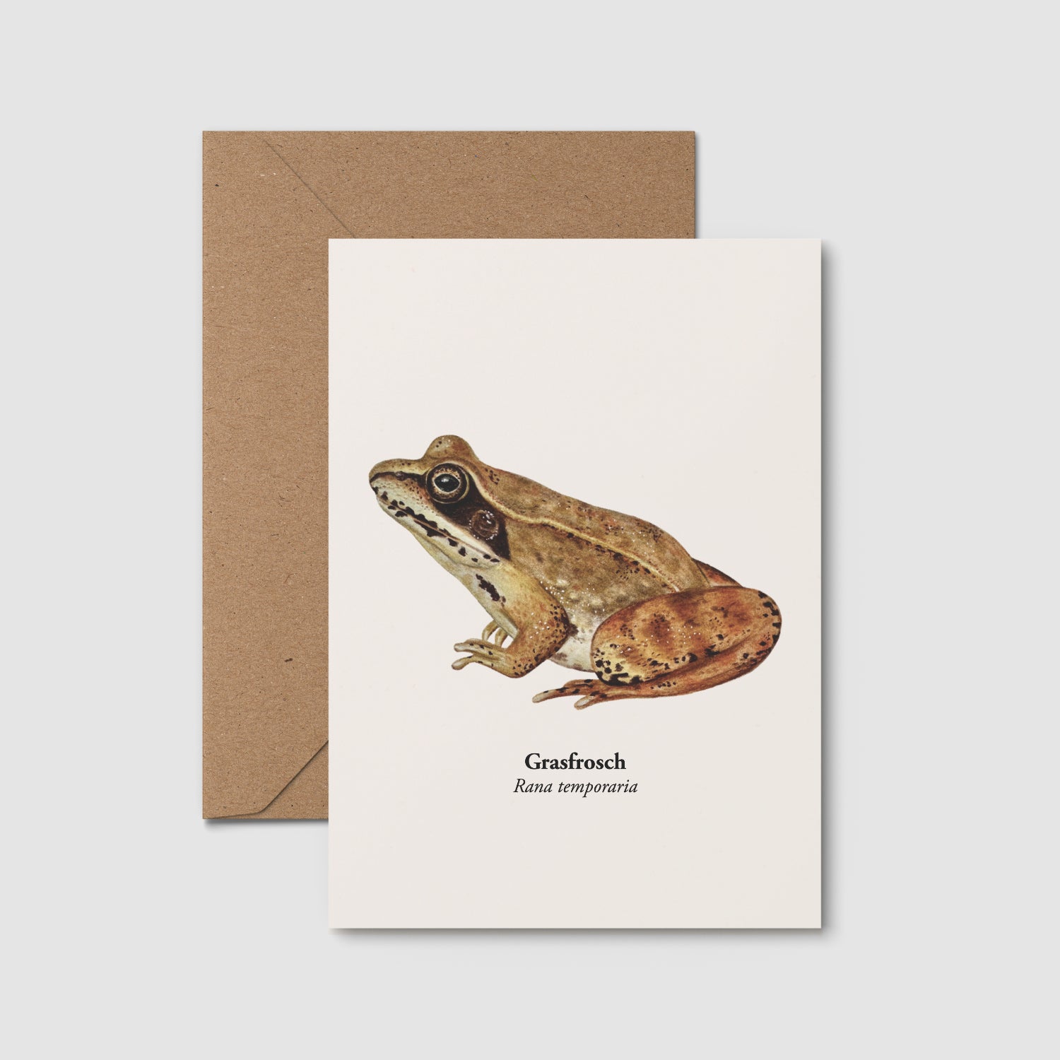 Grasfrosch Postkarte mit handgezeichneter Illustration auf weißem Hintergrund