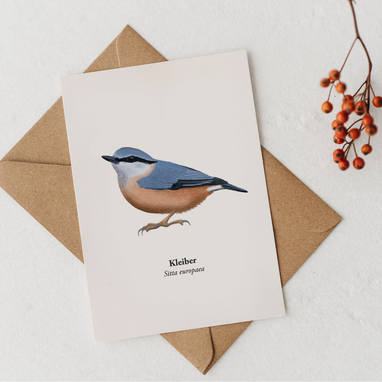 Kleiber Vogelillustration als Kunstpostkarte