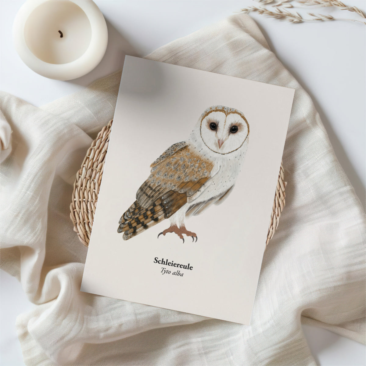 Postkarte Eule – Zeichnung der Schleiereule (Tyto alba)