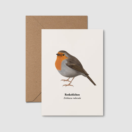 Rotkehlchen Postkarte – Naturillustration - Rotkehlchen Zeichnung Miniprint