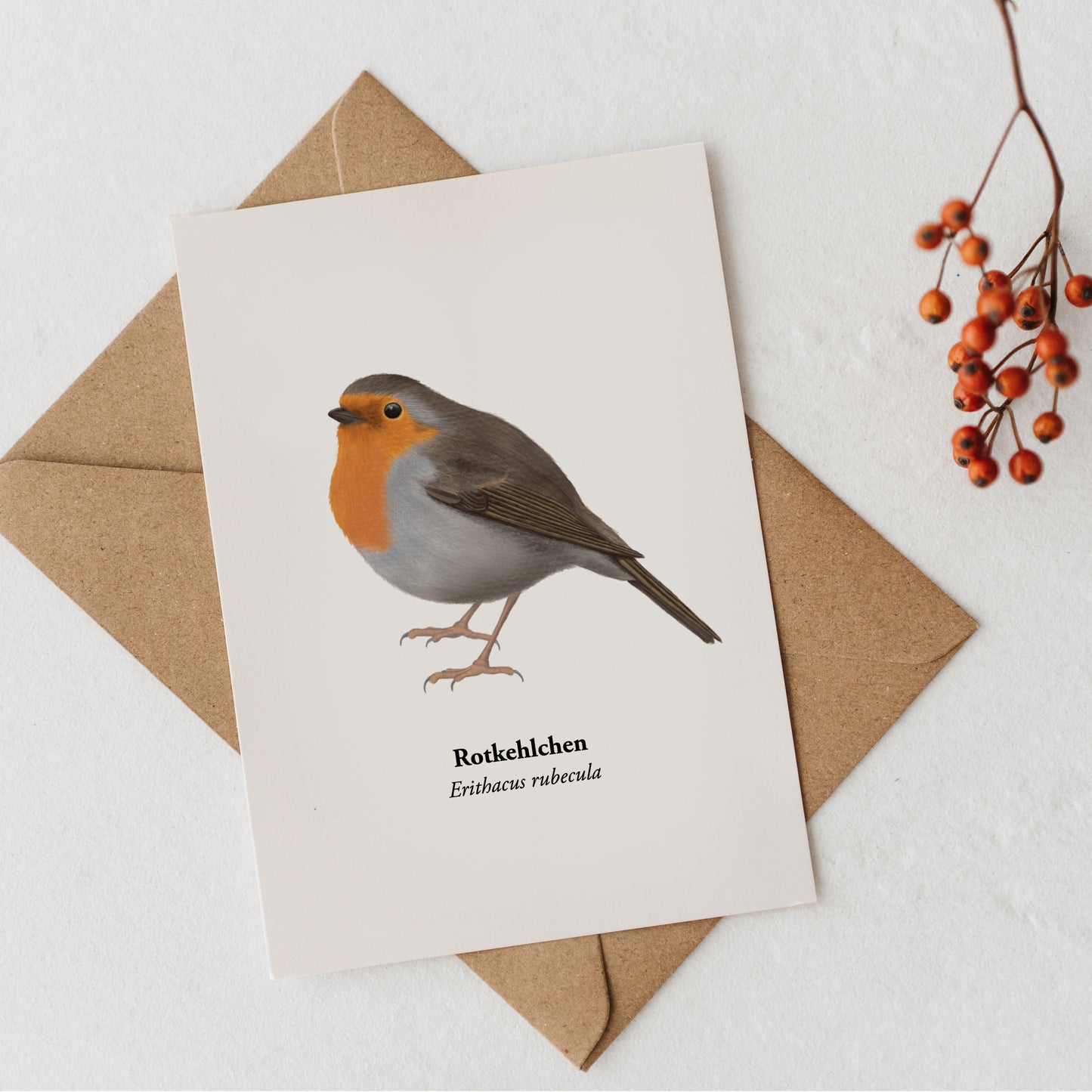 Rotkehlchen Postkarte im A6 Format mit Kraftpapierumschlag und Naturdekoration, handgezeichnete Vogelillustration.