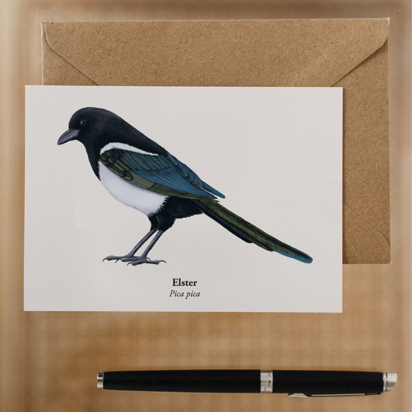 Vogelpostkarte mit Elster Illustration