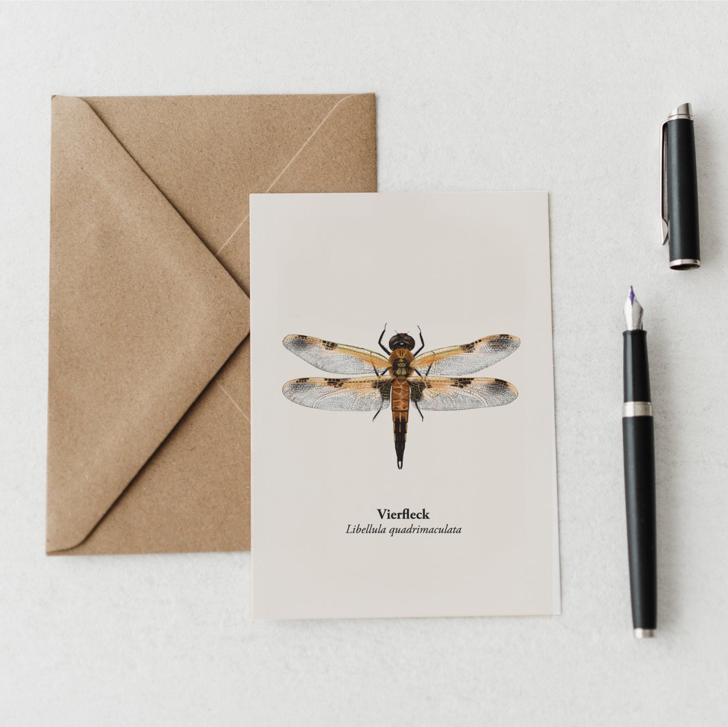 Vierfleck Libelle Postkarte auf Schreibtisch mit Füllfederhalter und braunem Umschlag – detailreiche Naturillustration