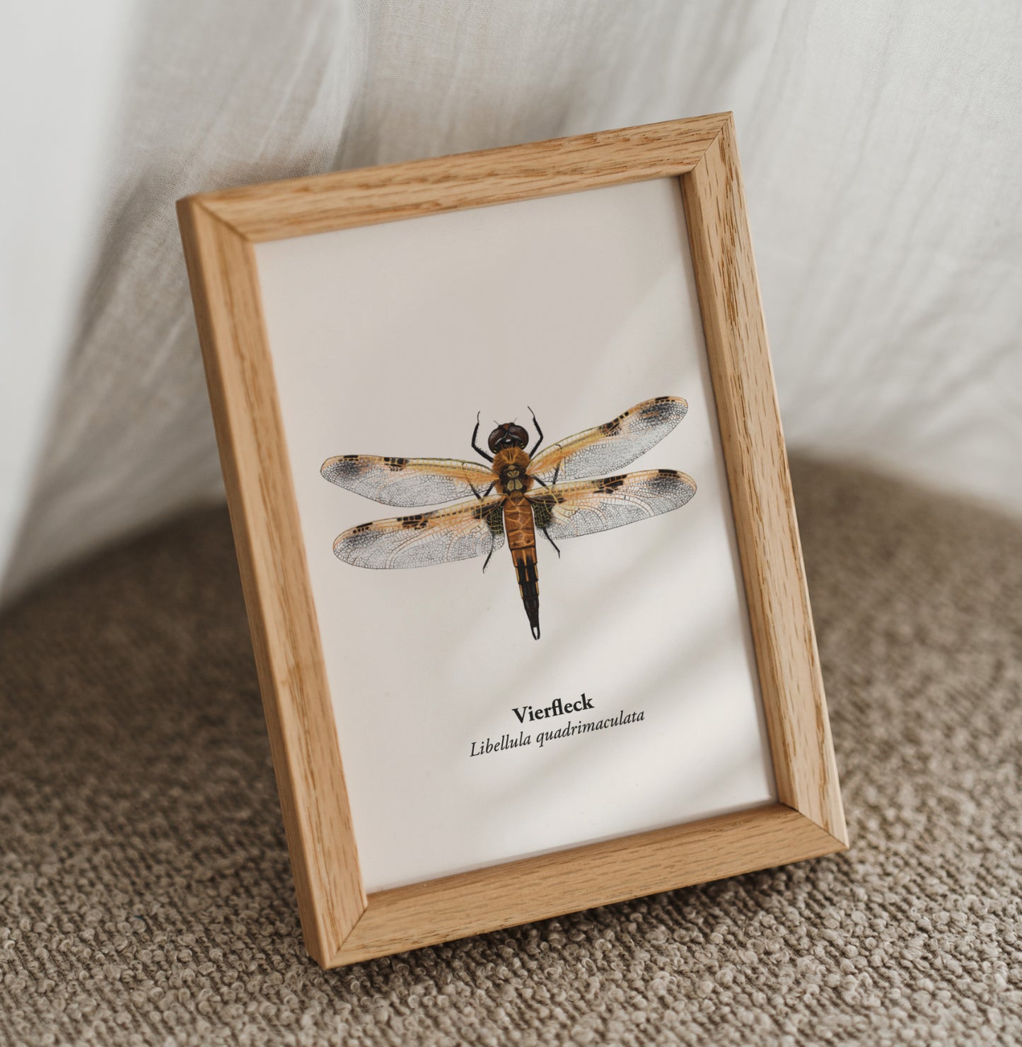 Libellen Postkarte – Libellen Zeichnung – Vierfleck
