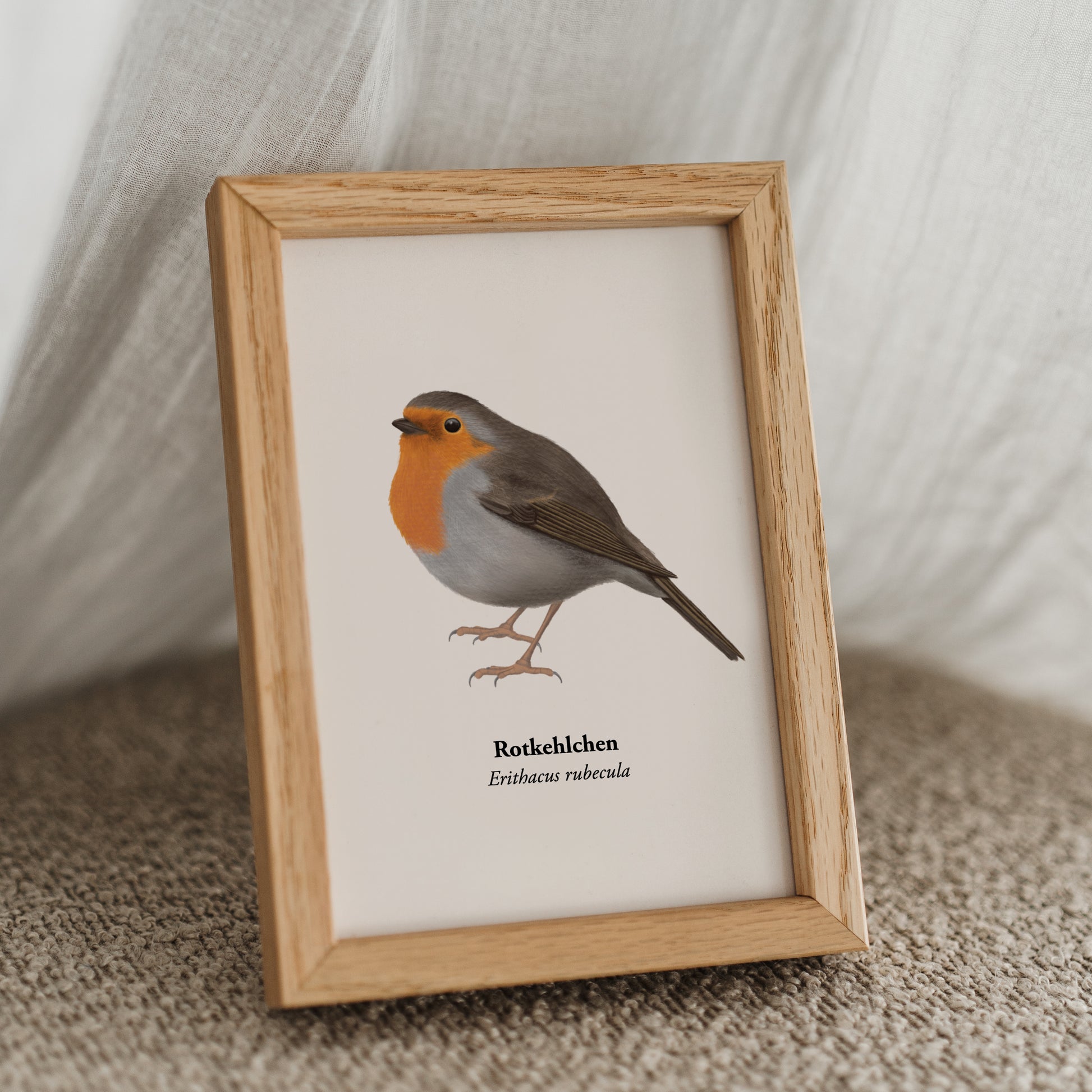 Gerahmte Rotkehlchen Postkarte als Naturillustration im Holzrahmen, detailreiche Vogelzeichnung im A6 Format.