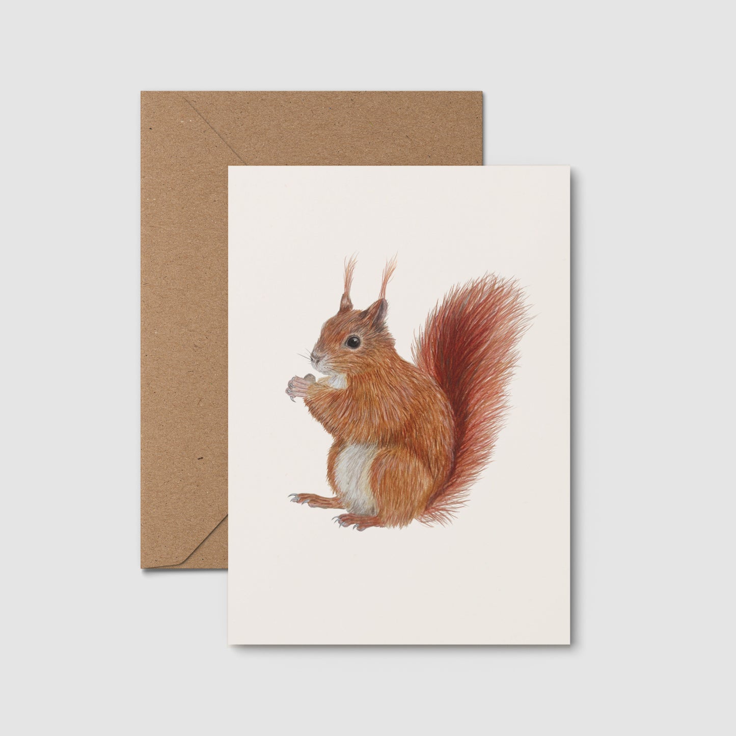 Eichhörnchen Postkarte – handgezeichnete Illustration eines Europäischen Eichhörnchens auf A6 Karte