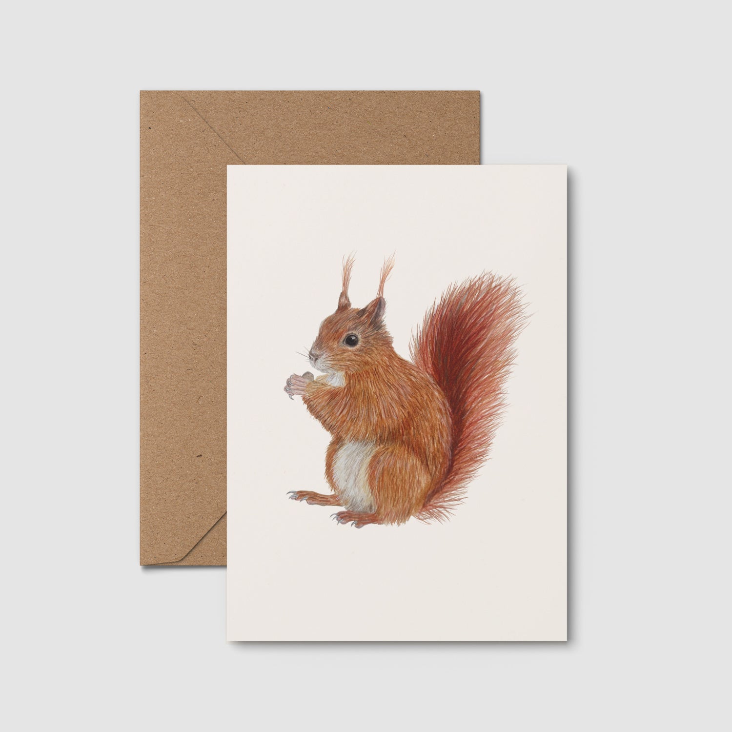 Eichhörnchen Postkarte – handgezeichnete Illustration eines Europäischen Eichhörnchens auf A6 Karte