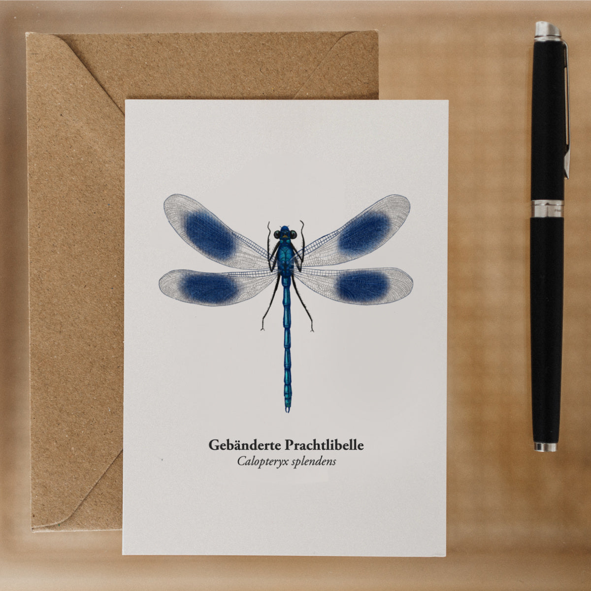 Gebänderte Prachtlibelle Postkarte im DIN A6 Format