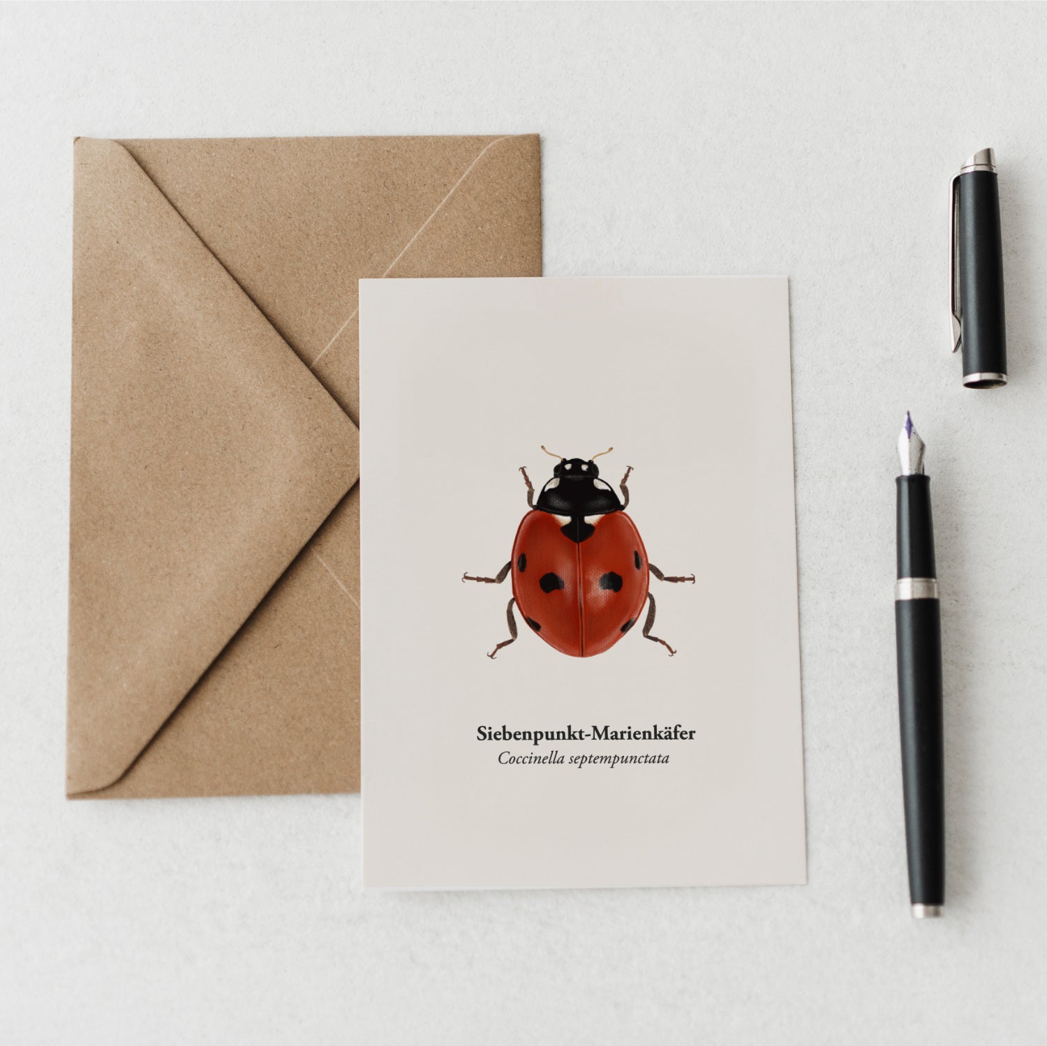 Marienkäfer Karte auf Naturpapier – Glücksbringer Illustration A6