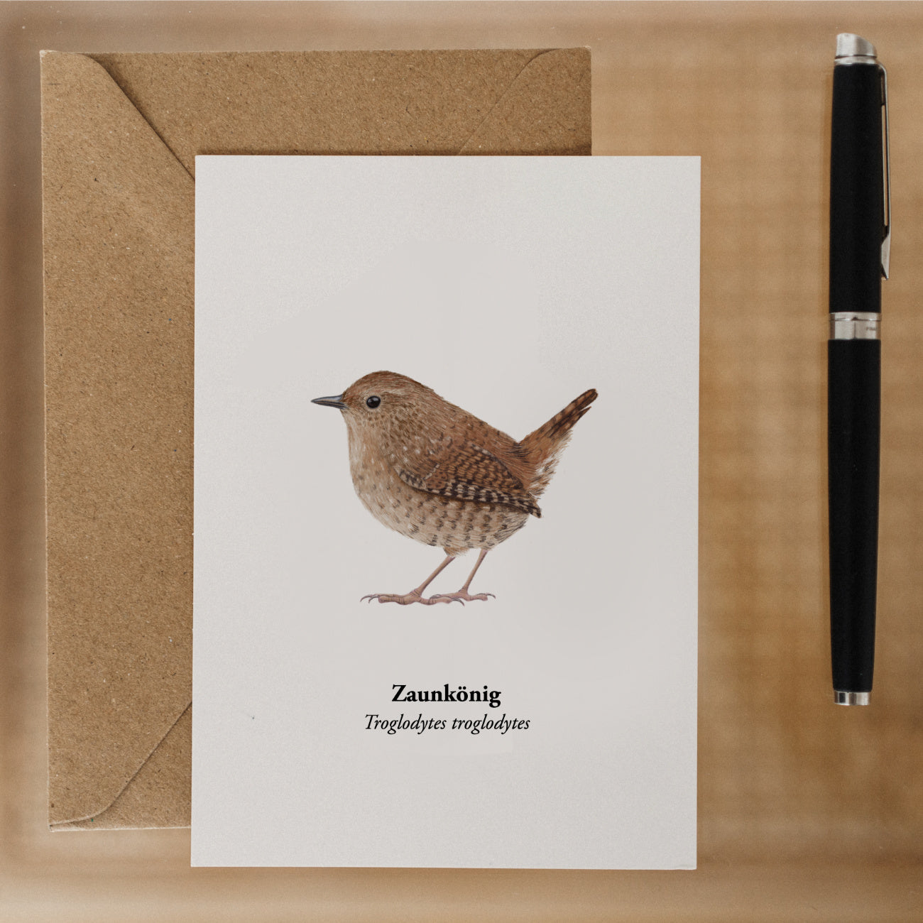 Zaunkönig Postkarte – Kunstpostkarte mit Vogel Zeichnung (Troglodytes troglodytes)