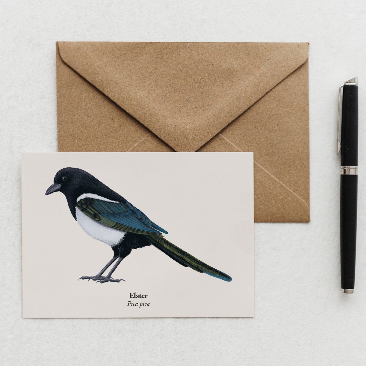 Elster Postkarte mit Kraftpapierumschlag fotografiert