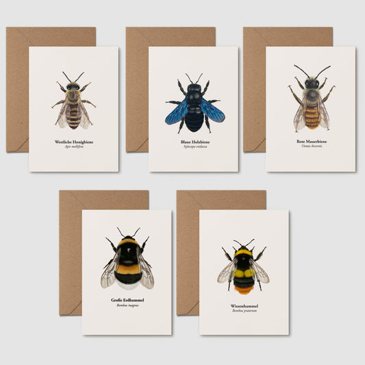 Postkarten Set Natur – 5 Karten selbst zusammenstellen | heimische Tiere