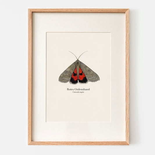 Nachtfalter Kunstdruck – künstlerische Illustration auf hochwertigem Naturpapier, FSC®-zertifiziert