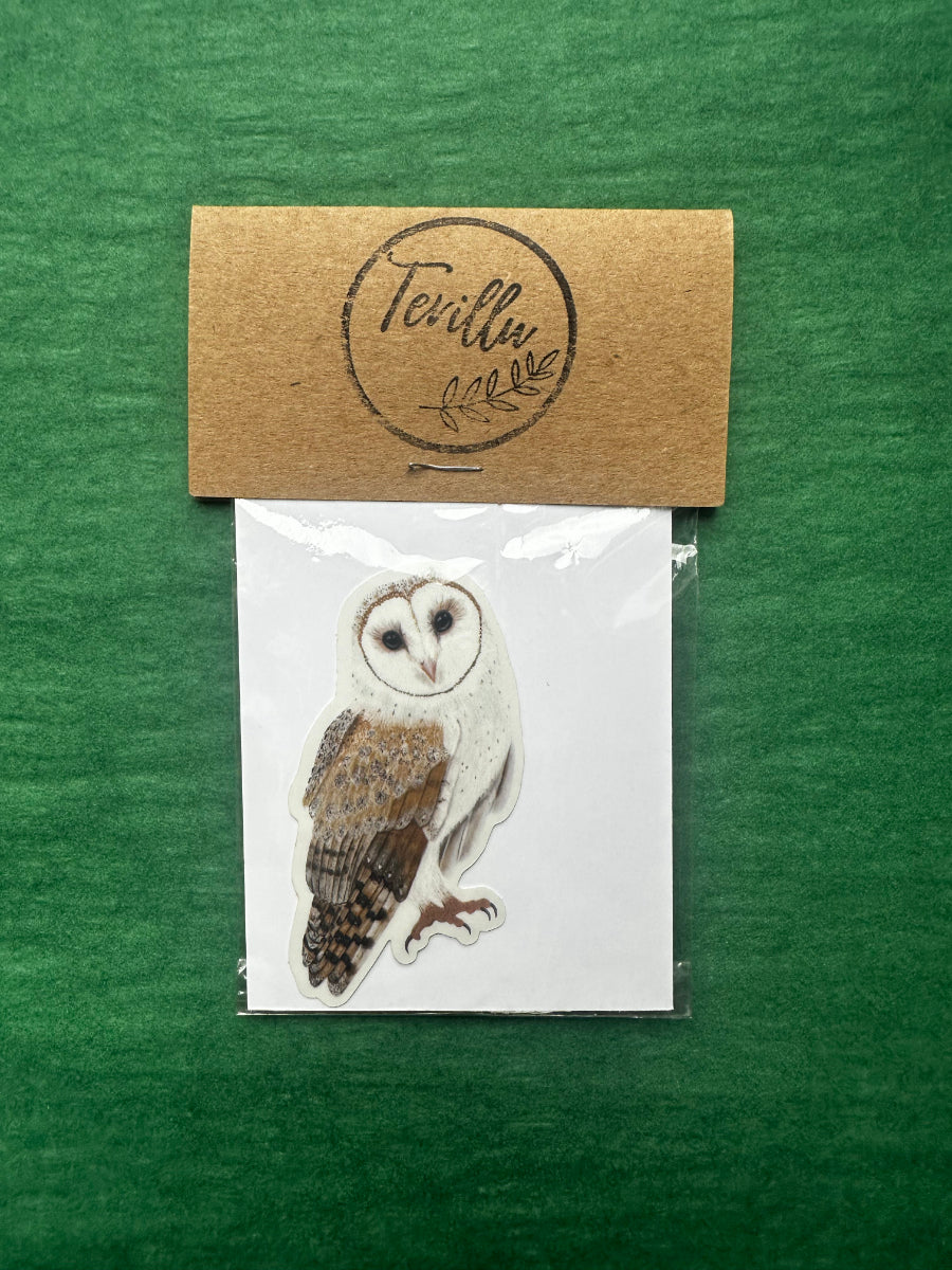 Schleiereule Sticker mit naturgetreuer Illustration der Eule Tyto alba