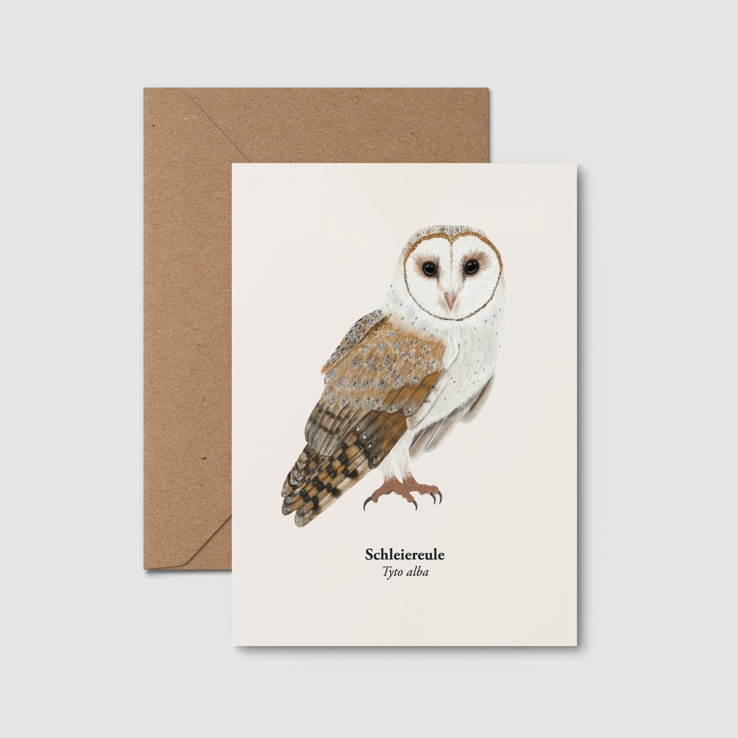 Schleiereule Postkarte A6 mit Eule Zeichnung – Illustration der Schleiereule Tyto alba