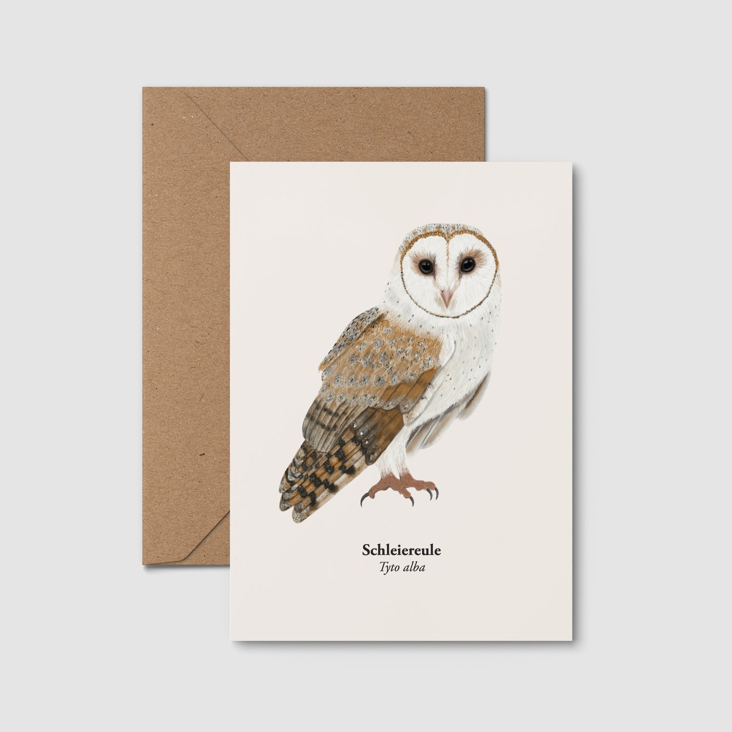Schleiereule Postkarte A6 mit Eule Zeichnung – Illustration der Schleiereule Tyto alba