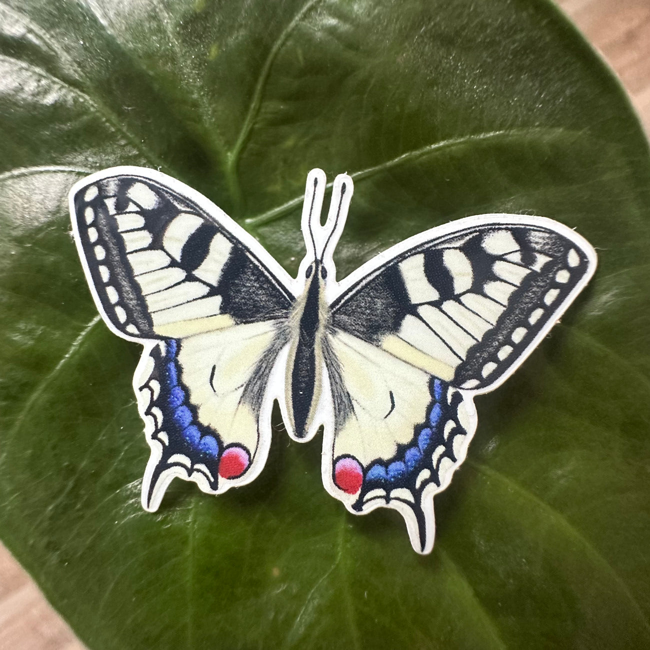 Schwalbenschwanz Sticker aus wasserfestem Vinyl mit realistischer Illustration