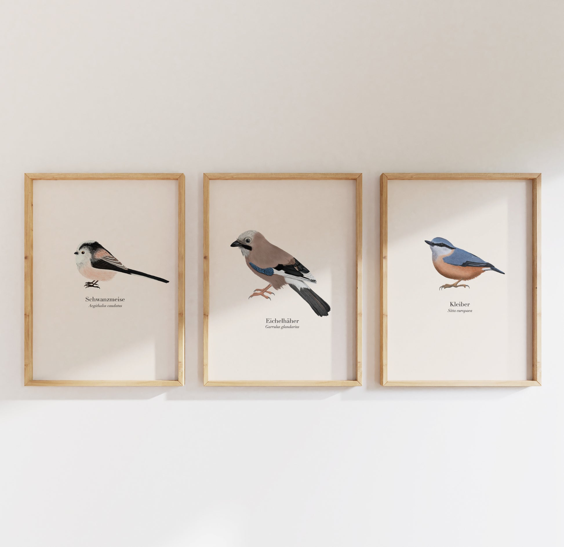 vogel_poster_Set