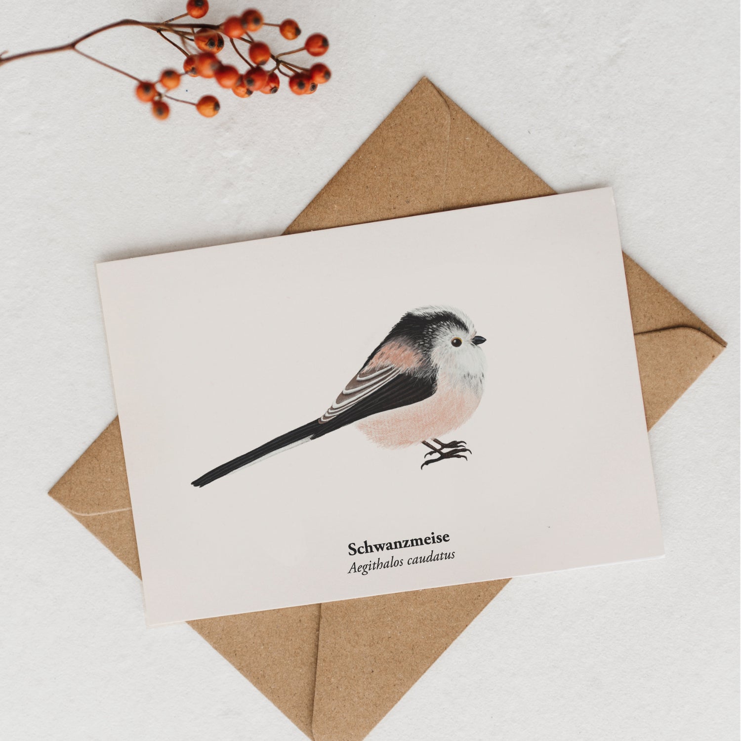 Nahaufnahme der Schwanzmeise Postkarte in natürlicher Umgebung mit Lichtspiel.