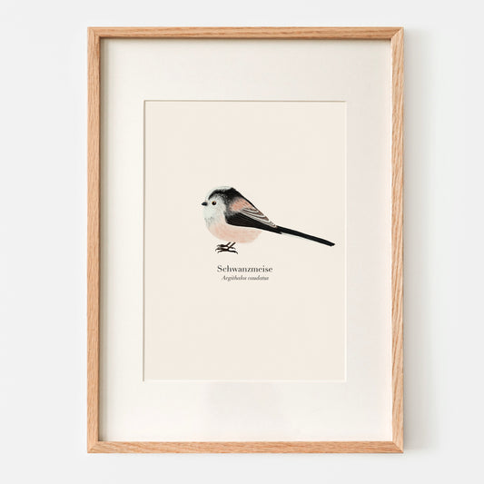 Schwanzmeise Poster A4 Vogel Illustration von Terillu