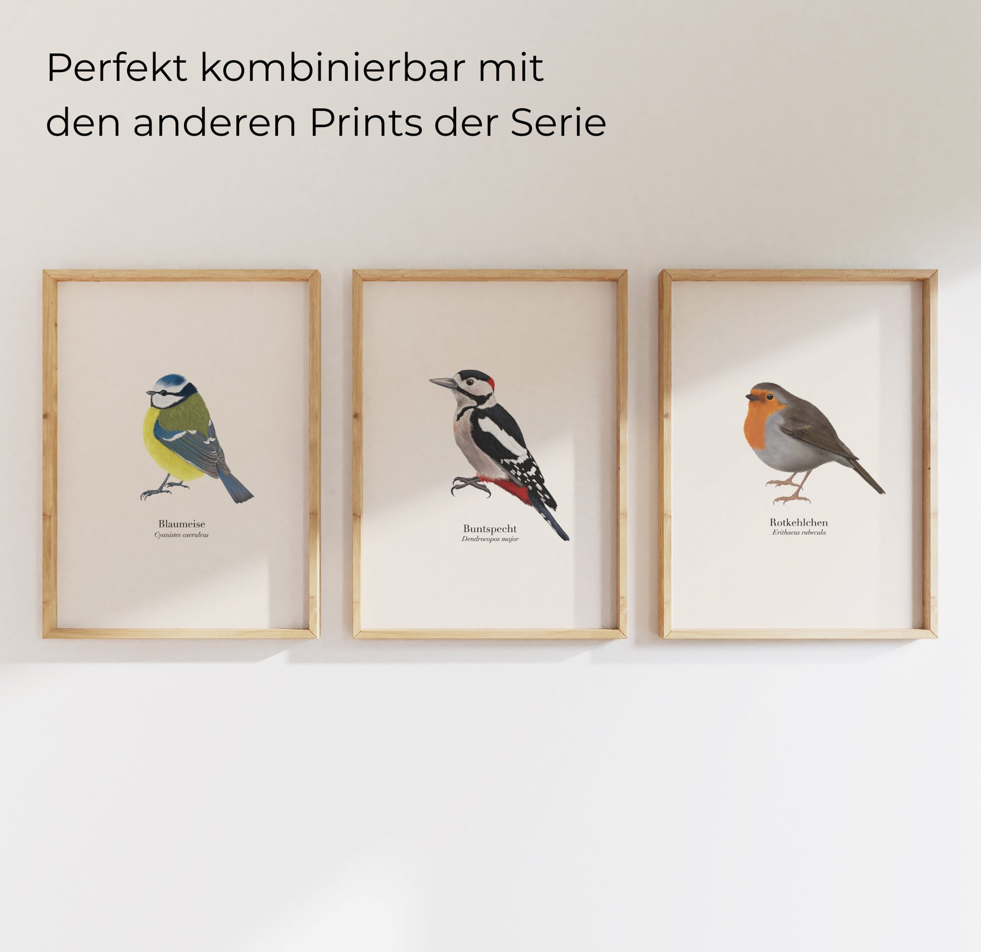 Vogel_illustrationen_poster_set