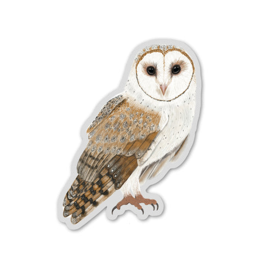 Schleiereule Vinyl Sticker mit transparenter Kontur und detailreicher Eulen Illustration